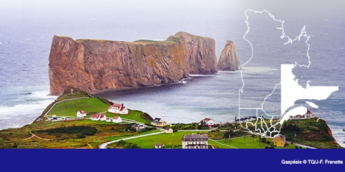 Visuel mobile falaise et vie maritime